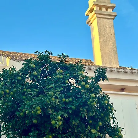 Casa Myrtillo - Scandinavian Style