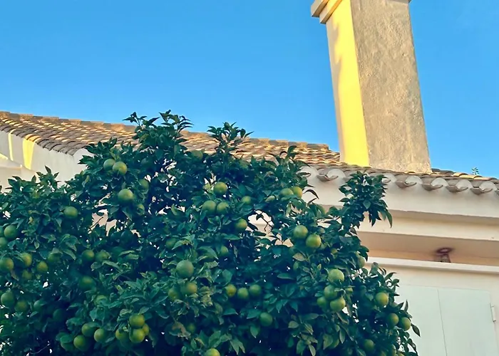 Casa Myrtillo - Scandinavian Style